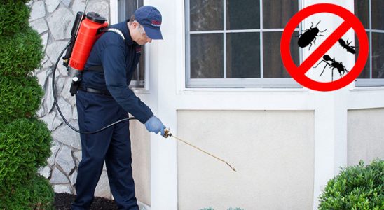 Sungurlu Böcek İlaçlama böcek ilaçlama ve haşere kontrolü — ilaclama-tr.com